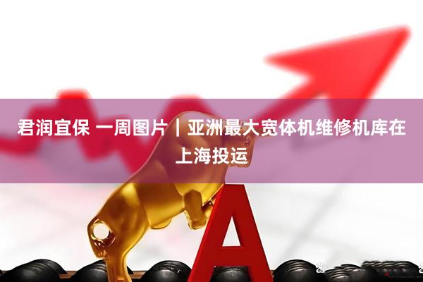 君润宜保 一周图片｜亚洲最大宽体机维修机库在上海投运