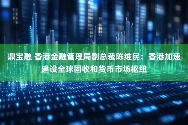 鼎宝融 香港金融管理局副总裁陈维民：香港加速建设全球固收和货币市场枢纽