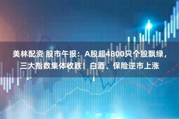 美林配资 股市午报：A股超4800只个股飘绿，三大指数集体收跌！白酒、保险逆市上涨