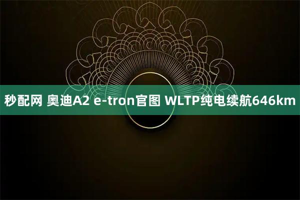 秒配网 奥迪A2 e-tron官图 WLTP纯电续航646km